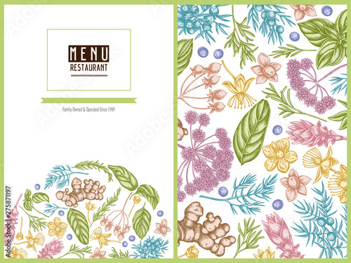 Menu cover floral design with pastel angelica, basil, juniper, hypericum, rosemary, turmeric photo