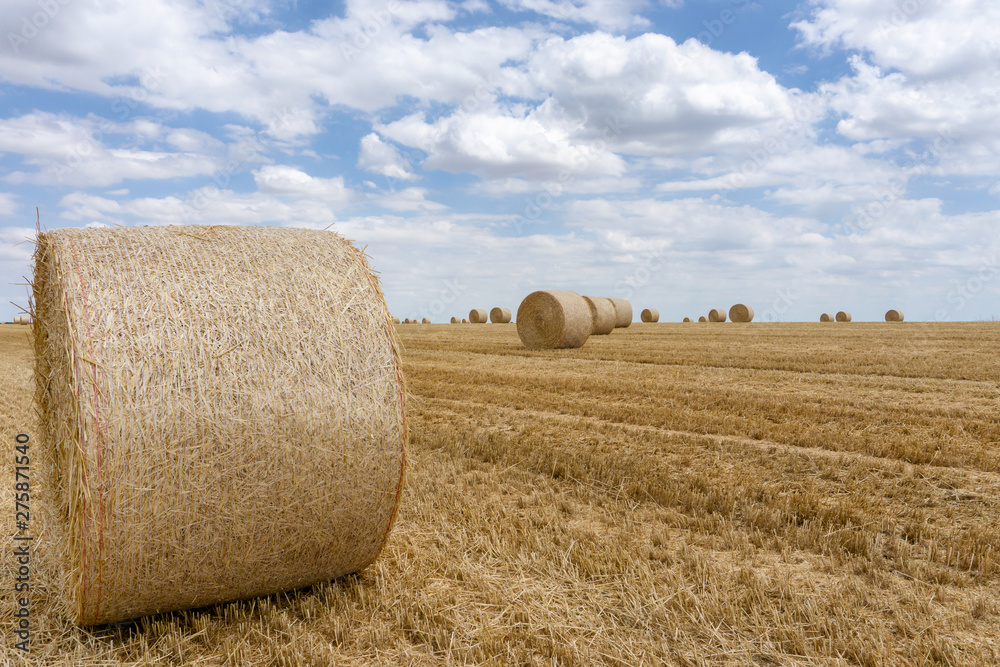 Straw bales stacked in a field at summer time
