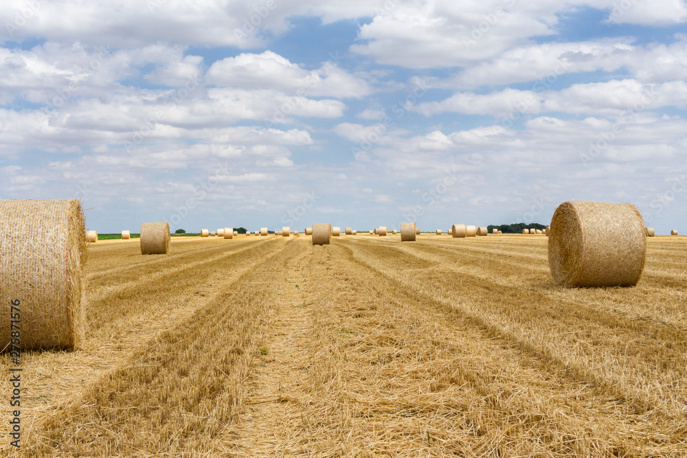Straw bales stacked in a field at summer time
