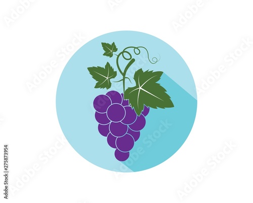 Grape fruits with leaf icon vector illustrtion