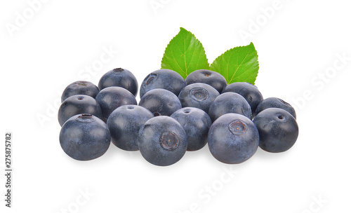 Fresh Blueberry on white background