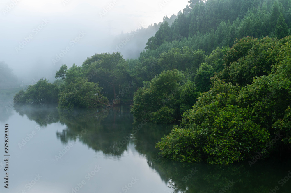 京都の湖に発生した朝霧と映り込み