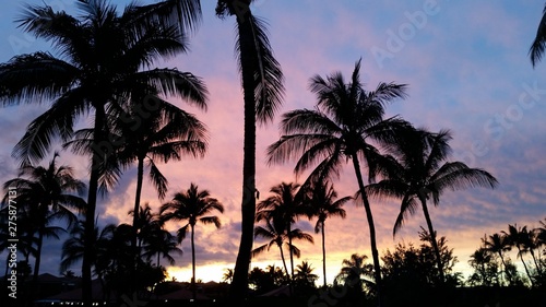 Hawaiian Sunset © nicole
