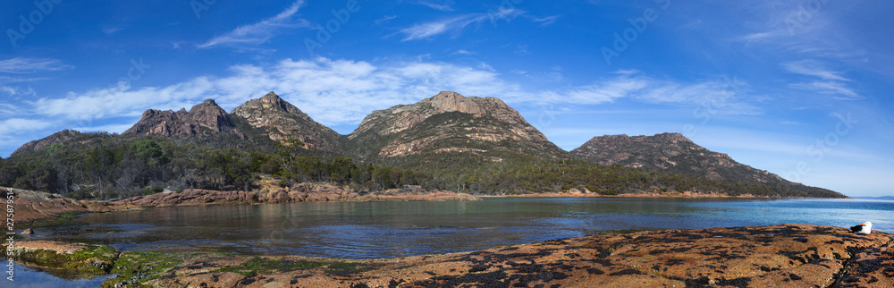 Panorama of the Hazard Ranges, Freycinet National Park, Tasmania, Australia, with blue sky and Pacific Gull sitting on rocks in foreground