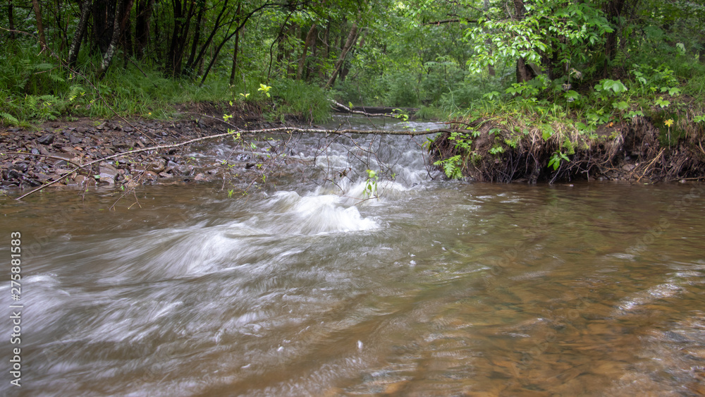Forest mountain river in the Far East.