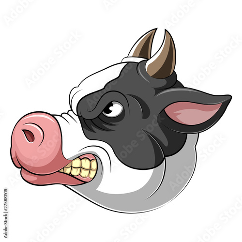 Head of an aggressive cow