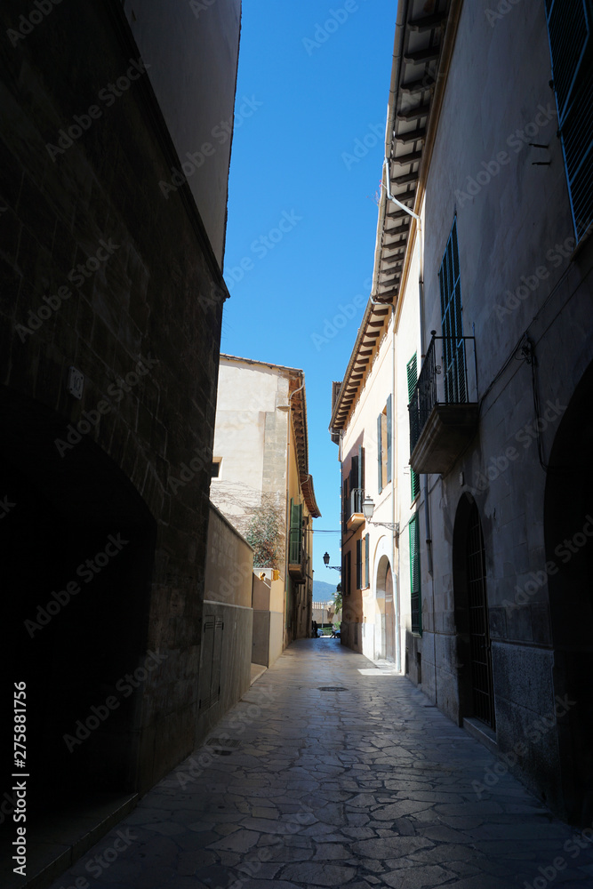 Fototapeta premium narrow street in spain