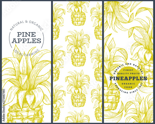 Set of tree pineapple banner templates. Hand drawn vector tropical fruit illustration. Engraved style ananas fruit background. Retro botanical design.