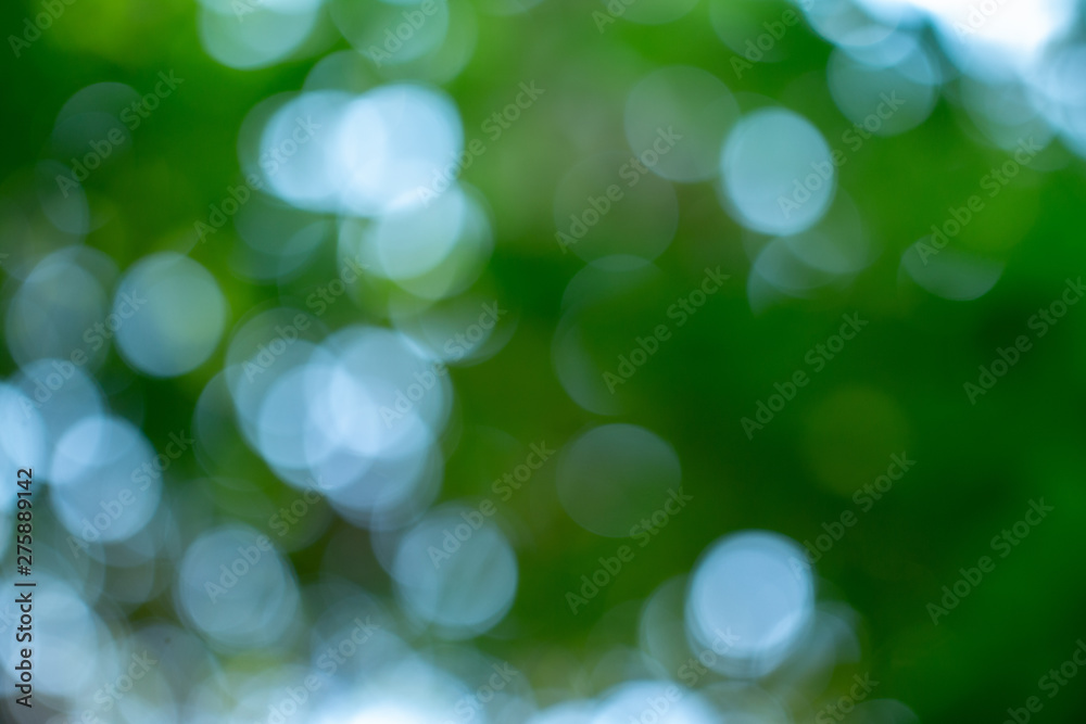 Fototapeta premium Natural green blurred abstract for summer background