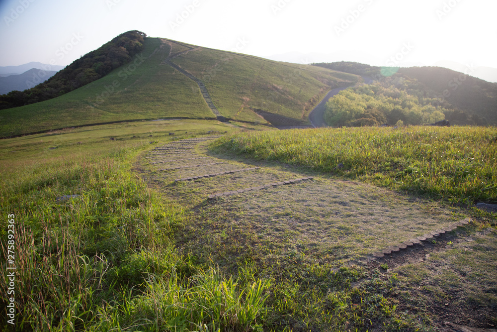 Fototapeta premium 草原