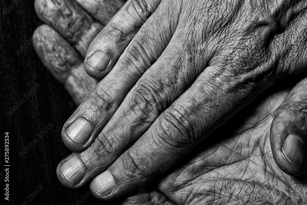 Fototapeta premium Black and White photo of senior man crossed hands detail on dark background