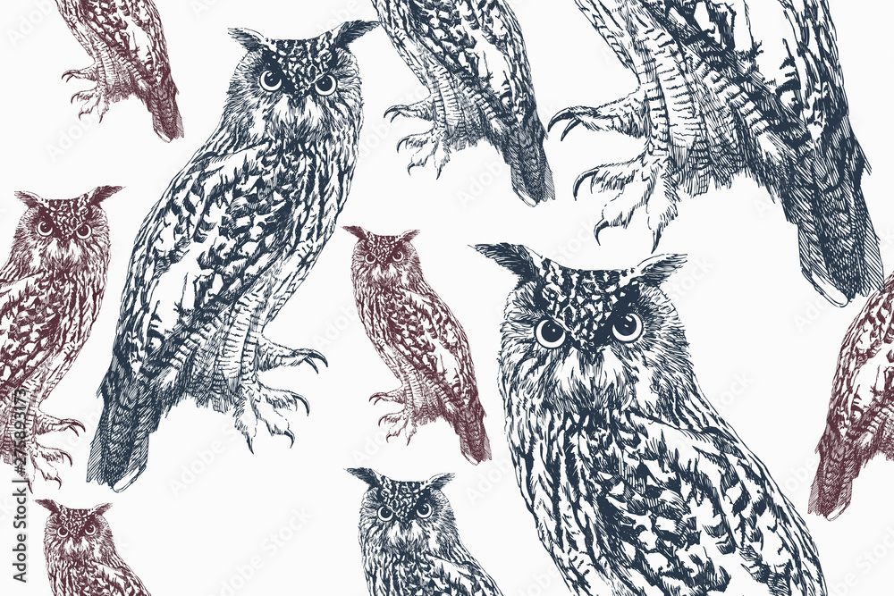 custom made wallpaper toronto digitalOwl blue and pink on seamless background. Hand-drawn, vector illustration.