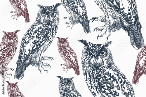 Wallpaper Mural Owl blue and pink on seamless background. Hand-drawn, vector illustration. Torontodigital.ca