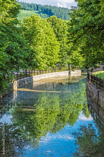 Tree alley is reflected in the little river, Bytca, Slovakia