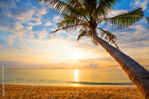 Fototapeta Naklejka Na Ścianę i Meble -  Seascape of beautiful tropical beach with palm tree at sunrise. sea view beach in summer background.