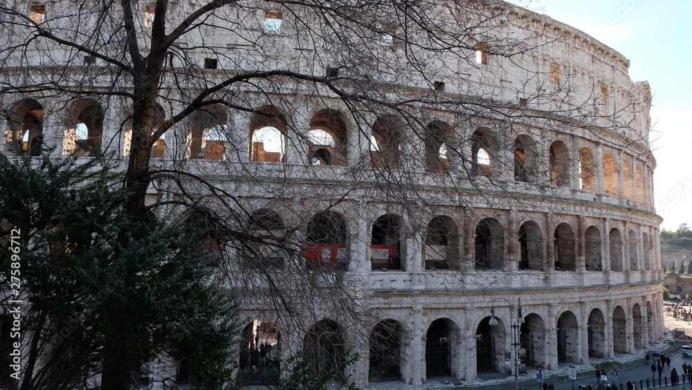 Fototapeta premium Rome Coliseum Colosseo Roma