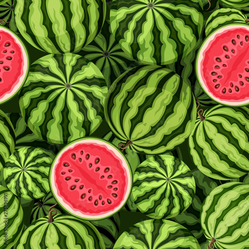 Vector seamless background with watermelons.