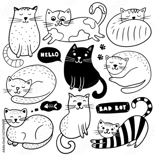 Fototapeta Naklejka Na Ścianę i Meble -  Big set of hand drawn cats.