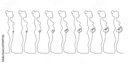 One line pregnant female silhouettes. Changes in a woman's body in pregnancy. Continuous line drawing.