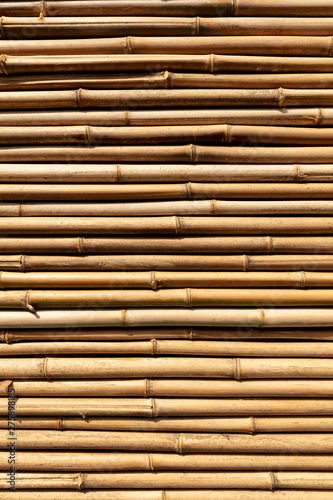 Bamboo twig wall as abstract background