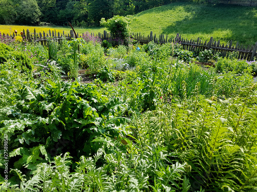 Bauerngarten; Kraeutergarten, Apothekergarten photo