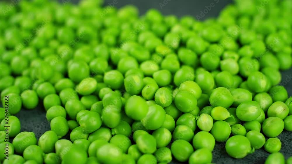 Green fresh pea falling in slow motion. Close up food background video. Green fresh pea falling in slow motion. Close up food background video.
