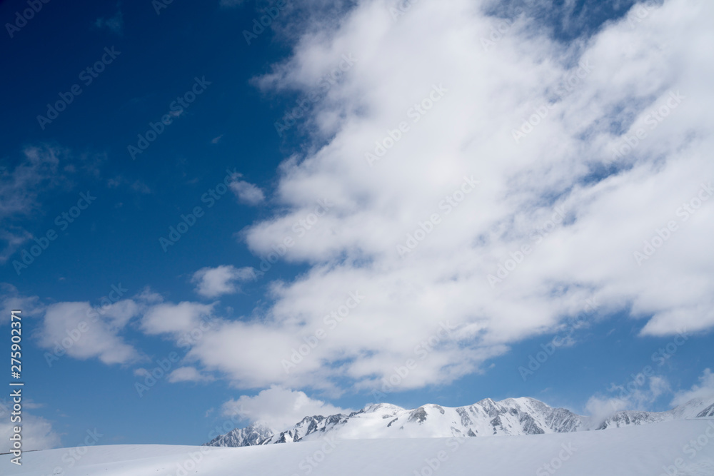 晴れた日の山で撮影した一面の雪景色と青空
