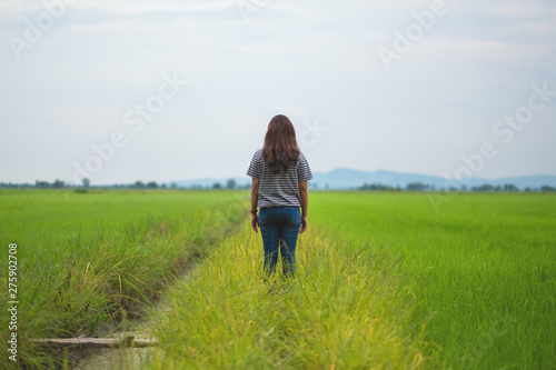 Rear view image of a woman standing and looking at a beautiful rice field with feeling relaxed and calm