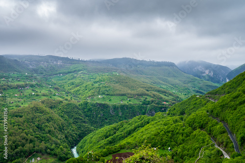Montenegro, Mountain road through green tree covered tara canyon nature landscape formed by majestic tara river