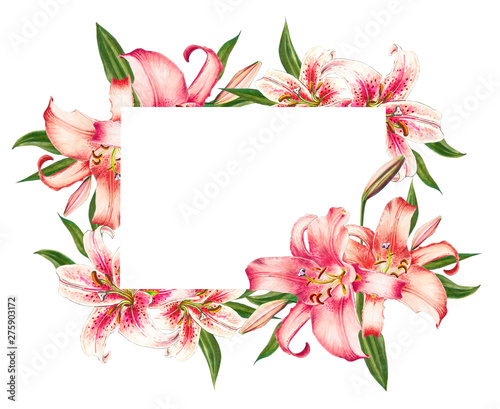 Fototapeta Naklejka Na Ścianę i Meble -  Beautiful pink lily frame. Bouquet of flowers. Floral print. Marker drawing. Watercolor painting. Wedding and birthday festive composition. Greeting card. Painted background. Hand drawn illustration.