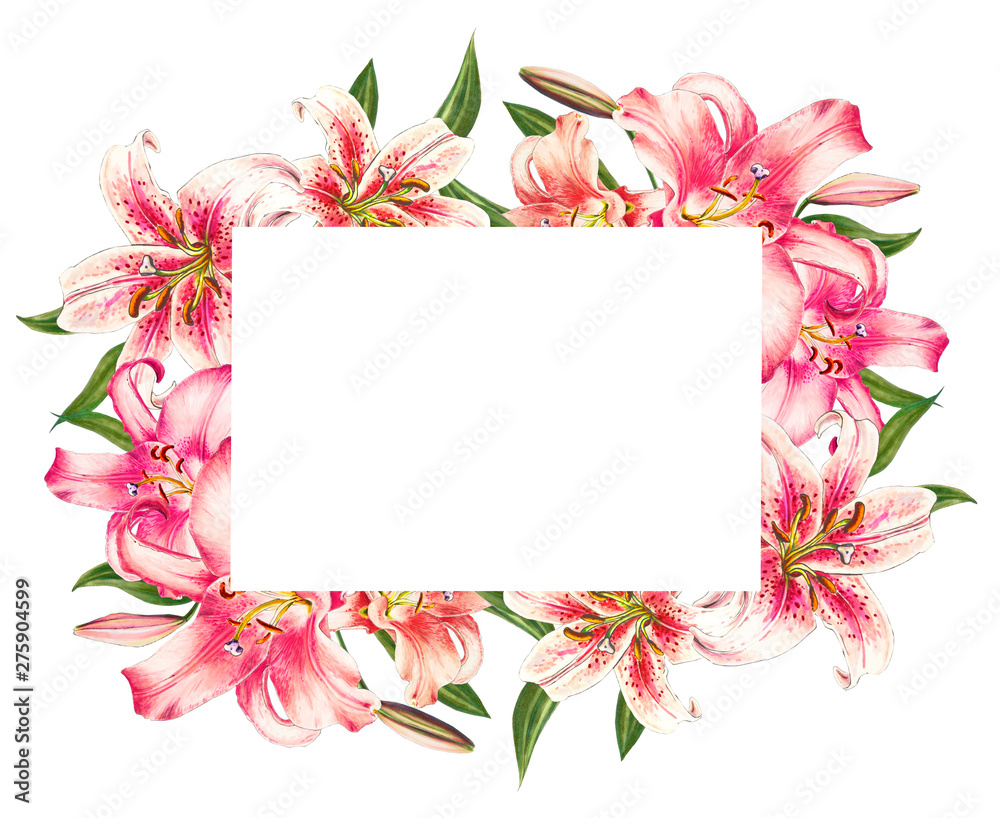 Obraz premium Beautiful pink lily frame. Bouquet of flowers. Floral print. Marker drawing. Watercolor painting. Wedding and birthday festive composition. Greeting card. Painted background. Hand drawn illustration.