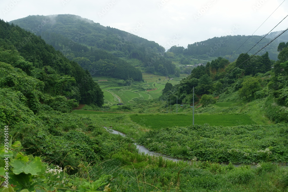 日本の岡山県の美咲町大垪和西地区の美しい棚田