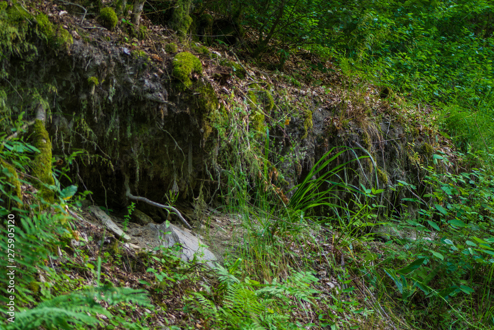wald, natur, baum, green, wasser, moos, bach, cascada, landschaft, baum, fluss, holz, holz, piter, regenwald, fels, bahn, berg, auflösungszeichen, umwelt, frühling, herbst, fels, bach, pflanze wald, natur, baum, green, wasser, moos, bach, cascada, landschaft, baum, fluss, holz, holz, piter, regenwald, fels, bahn, berg, auflösungszeichen, umwelt, frühling, herbst, fels, bach, pflanze