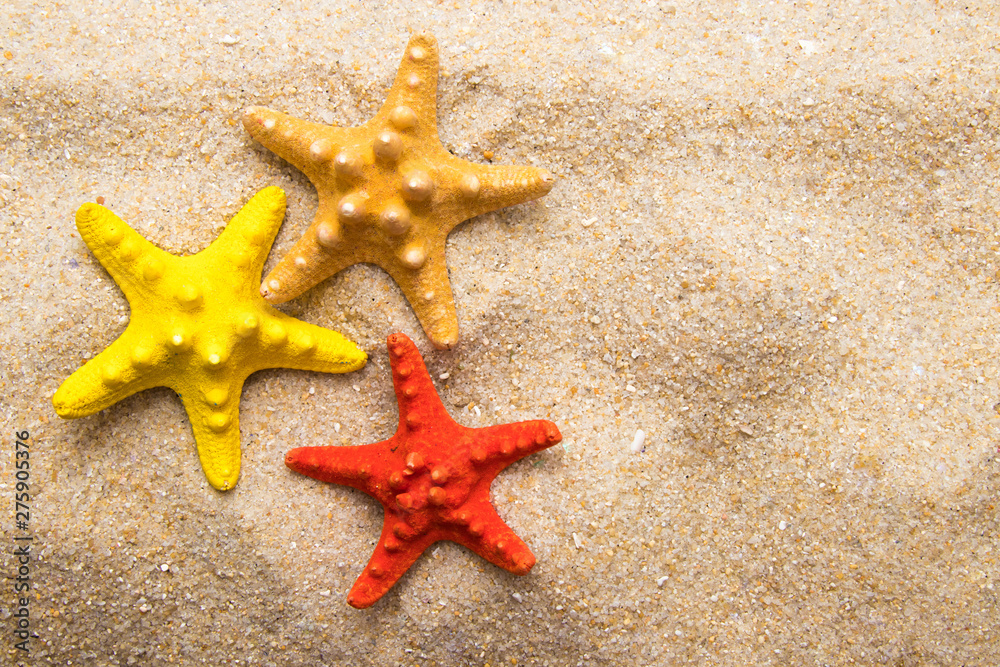 starfish on the sand of the beach, summer background starfish on the sand of the beach, summer background