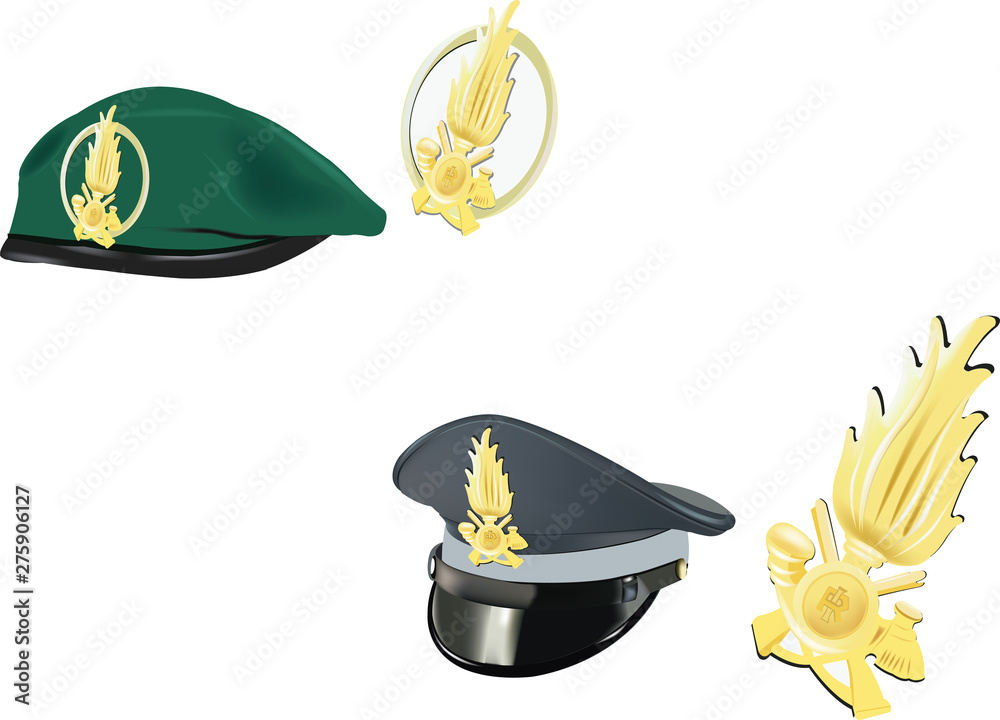 cappello polizia finanziere basco verde cappello con visiera Stock Vector |  Adobe Stock