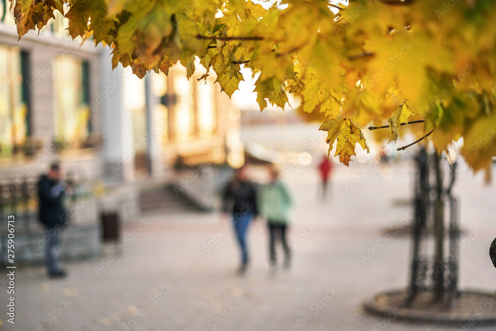 people walk along street of autumn city on sunny day, blurry, maple branch with yellow leaves in foreground close-up people walk along street of autumn city on sunny day, blurry, maple branch with yellow leaves in foreground close-up