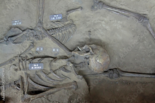 victims osseous remains in the Pandai village massacre memorial, luannan county, hebei province, China photo