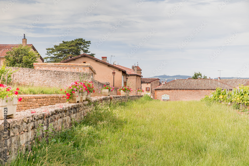 Village of Fuisse, in France, in the vineyards