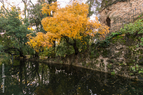 Autumn in the beautiful Carmen de los Martires  Granada  Spain 