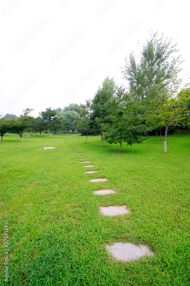 Stone path and trees in the grass