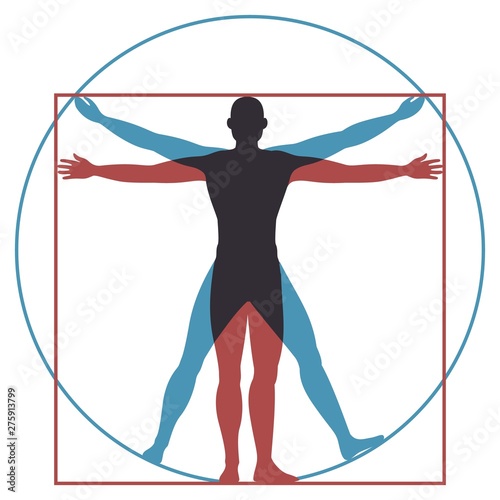 Vitruvian man. Leonardo da vinci human body perfect anatomy proportions in circle and square. Vector silhouette