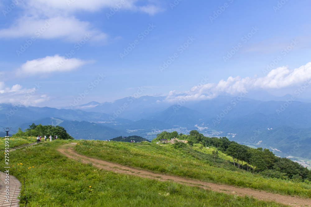 Naklejka premium 白馬五竜高山植物園／長野県白馬村
