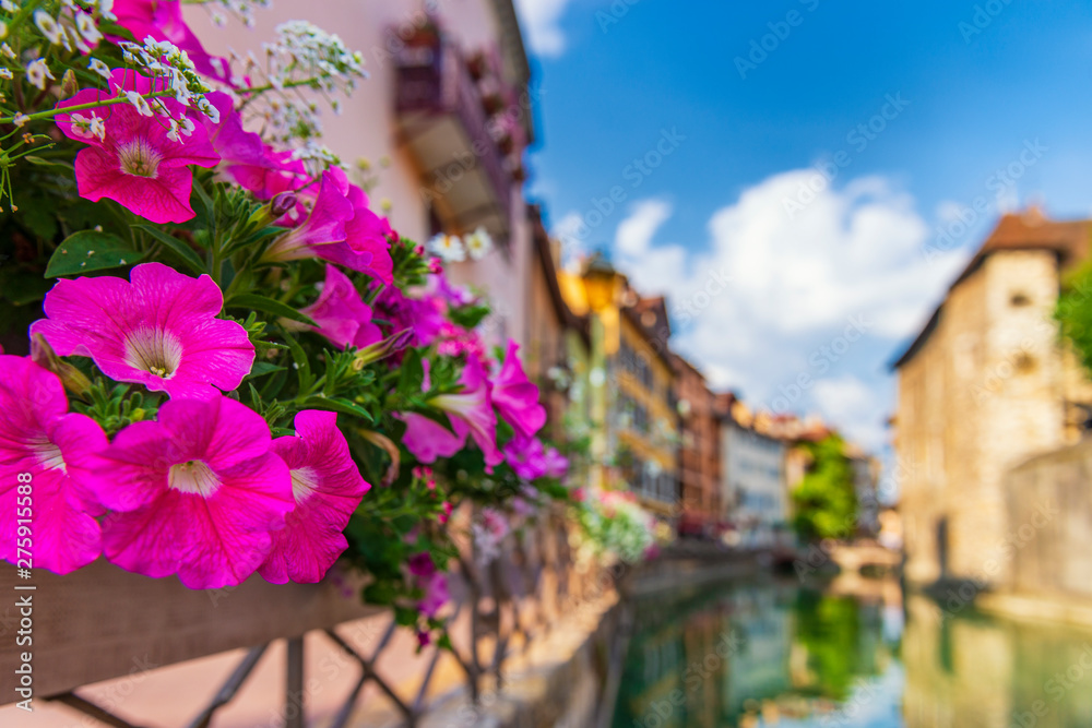 Bright flowers on the streets of Annecy, France.