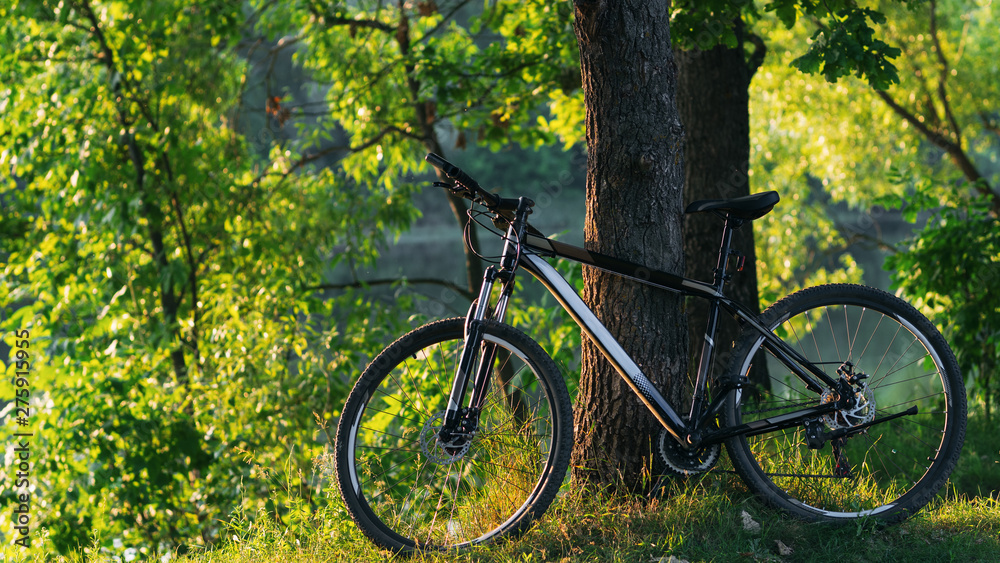 Mountain bike on the background of green summer forest. Lifestyle. Ride a bike