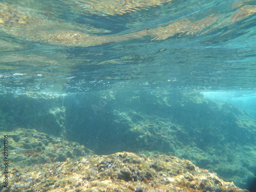 view of sea and coral reef underwater