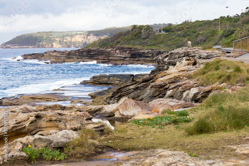 New South Wales coastline near Freshwater Bay, Sydney, Australia