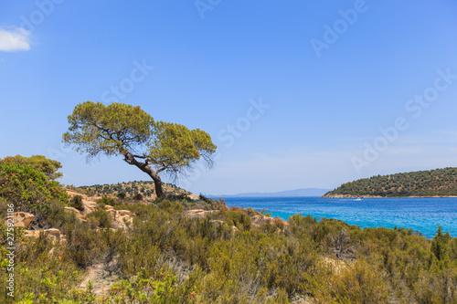 Amazing summer seascape view over Lagonisi beach Greece photo