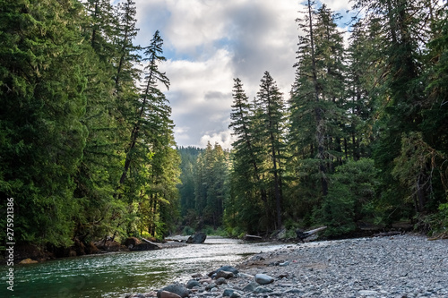 Valokuva Impression of the Cowlitz River in Washington State, near the La Wiz Wiz campground