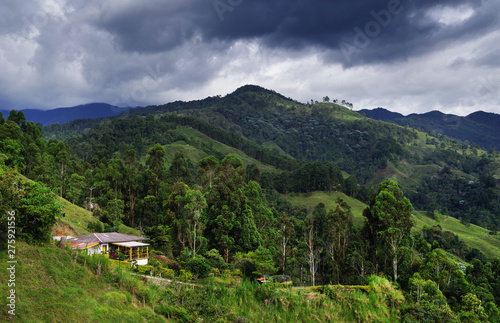 Hills covered in coffee and banana plantations near Buenavista, Antioquia, Colombia