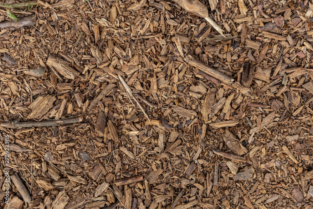 texture of wood rot on the ground texture of wood rot on the ground